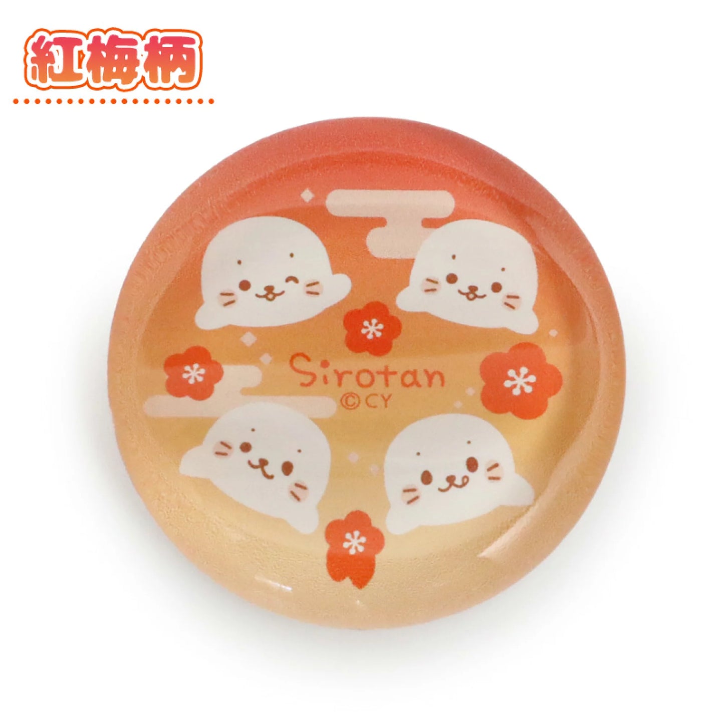 Sirotan 玻璃筷子架