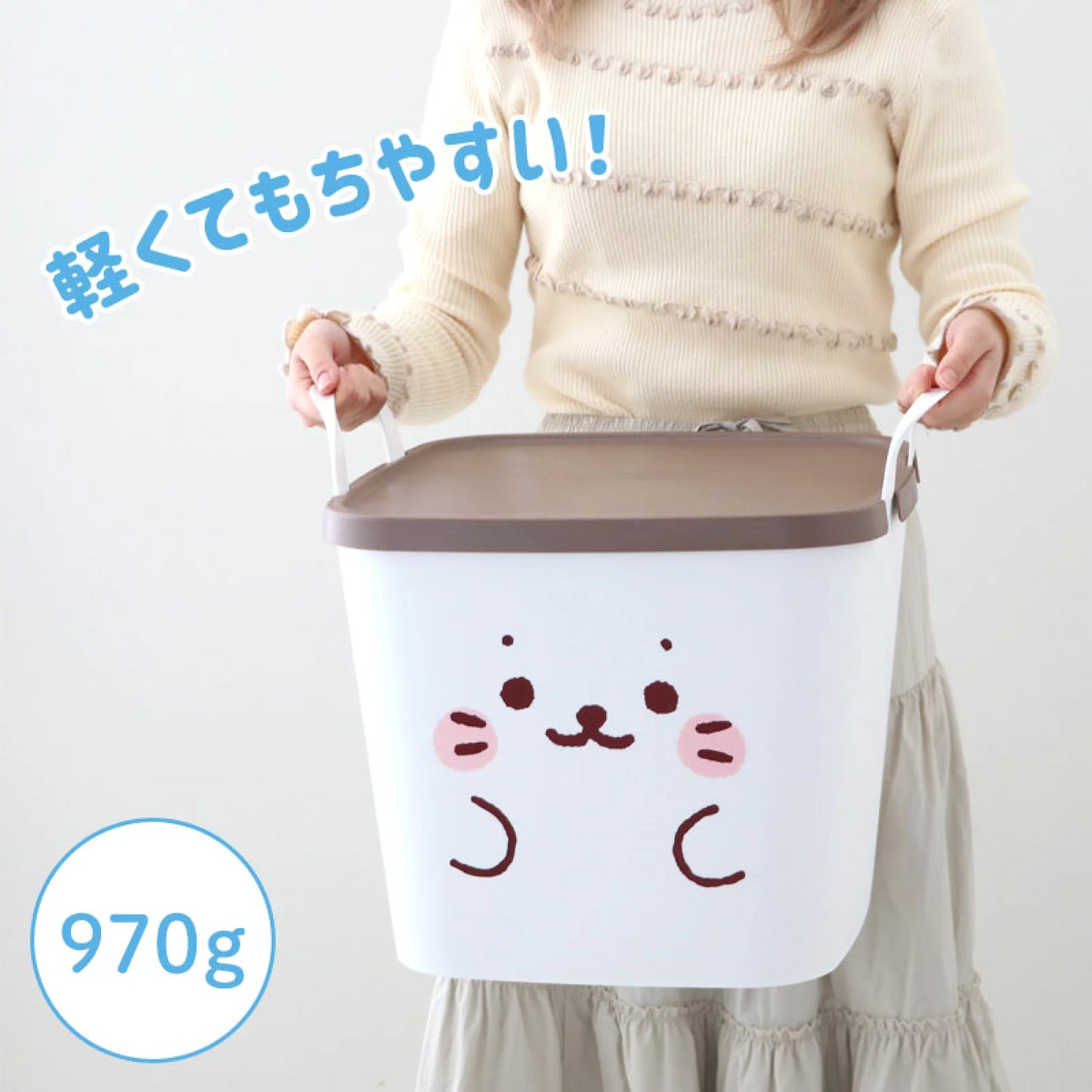 顏PON帶蓋收納籃子